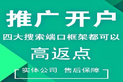 案例研究：SEM关键词优化效果对比